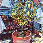 דירה Casa Topic בלאצ'ה