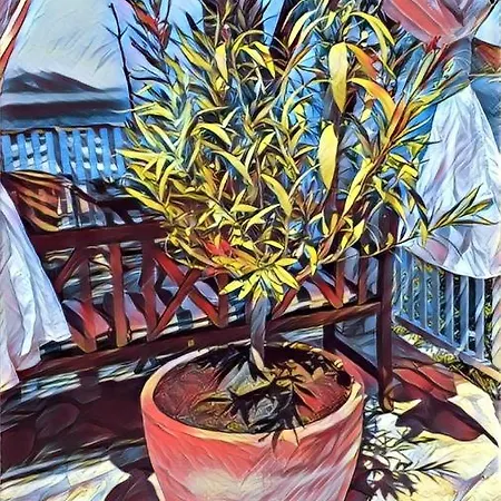 Apartament Casa Topic Blace