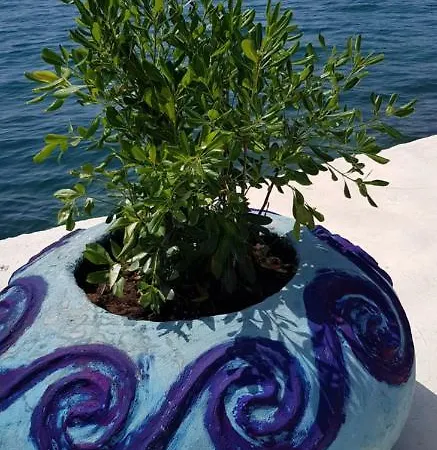 아파트 Casa Topic 블라체